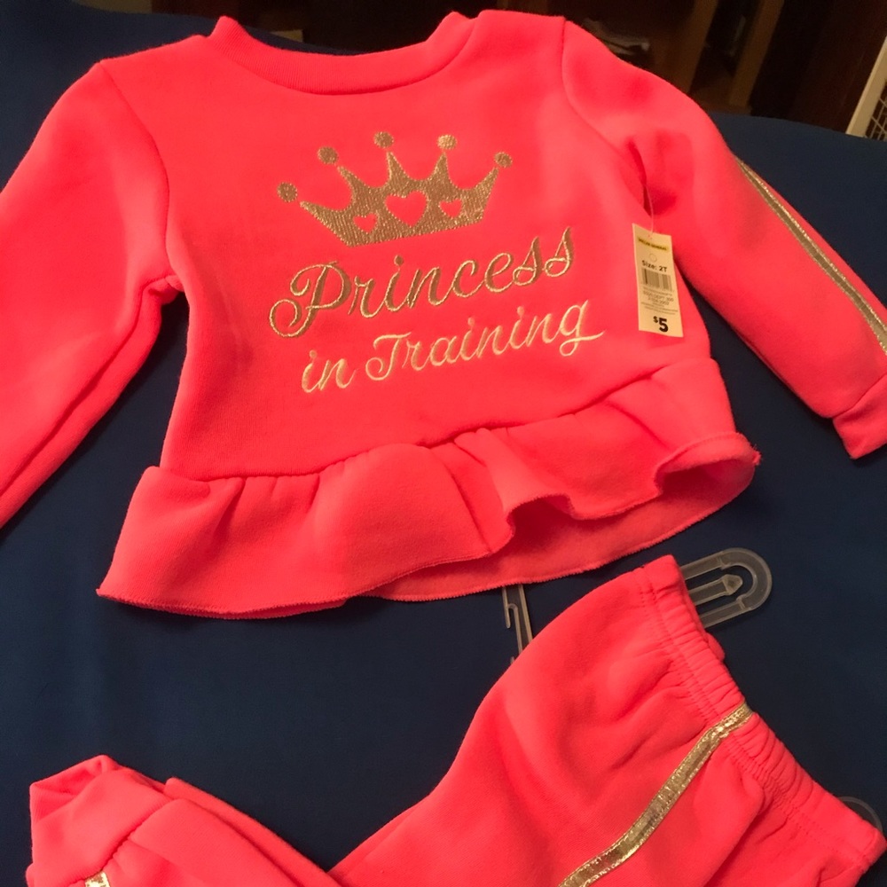 Size 2T Princess In Training Sweat Set